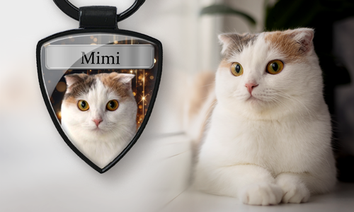 gallery-keychain-with-dog-cat-1