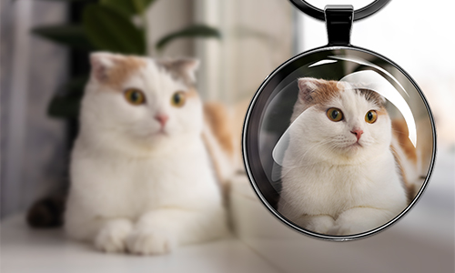 Pet photo printed on a round keychain