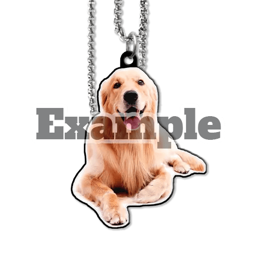 Collier personnalisé pour animal de compagnie