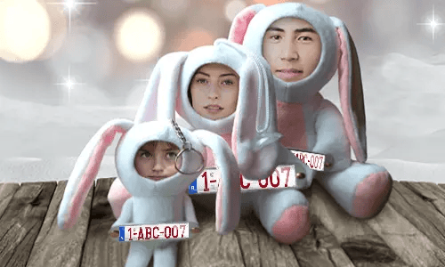 Voiture Photo Stuff Toy Bunny