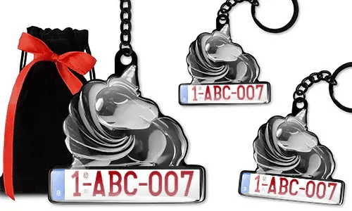 gallery-keychain-unicorn-epoxy-with-license-plate-3