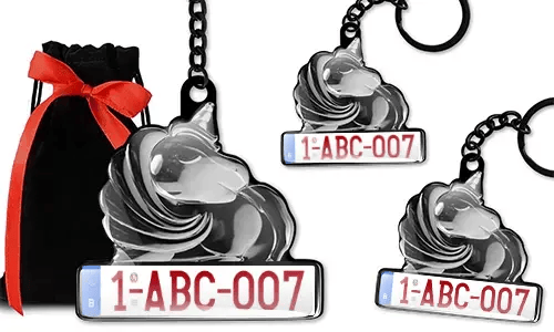 gallery-keychain-unicorn-epoxy-with-license-plate-3