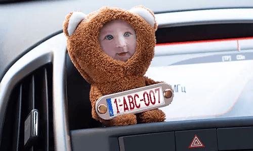 Cuddly toy with photo and flag