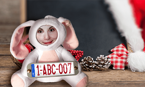 Cuddly toy with photo with license plate as a gift